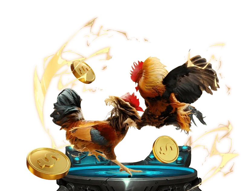 Hướng dẫn chiến lược cá cược đá gà